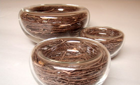 Sarah Mulligan Glass